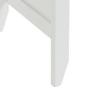 Laptop Desk