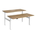 Elev8 Luxe Sit-Stand Back-To-Back Desks