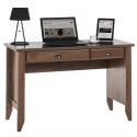 Laptop Desk