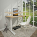 Single Motor Electric Ergonomic Sit-Stand Desk