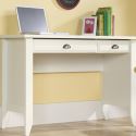 Laptop Desk