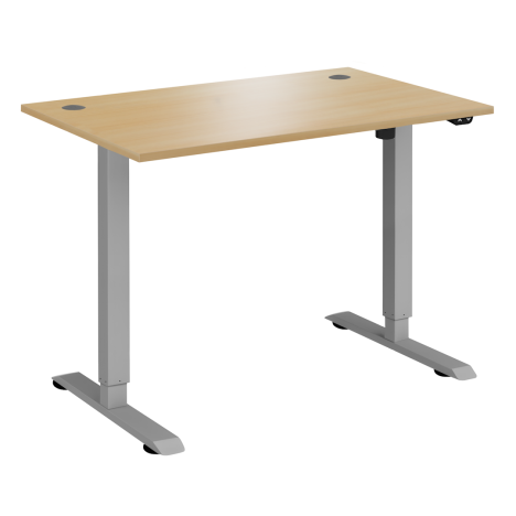 Electric Ergonomic Sit-Stand Workstation - 1200 - Silver Frame - Oak