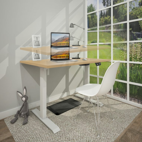 Single Motor Electric Ergonomic Sit-Stand Desk