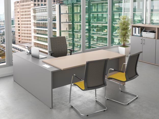 Executive Panel End Desking