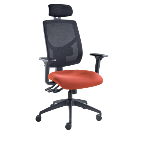 Vision High Back Mesh Chair - Headrest - Adjustable Arms - Olympic