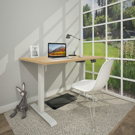 Single Motor Electric Ergonomic Sit-Stand Desk