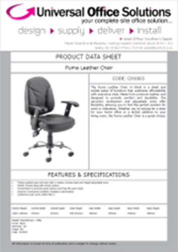 DATA SHEET - Puma Leather Chair (CH1003)