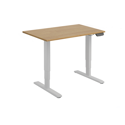 Dual Motor Electric Sit-Stand Desk