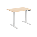 Dual Motor Electric Sit-Stand Desk