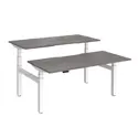 Elev8 Luxe Sit-Stand Back-To-Back Desks