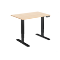 Dual Motor Electric Sit-Stand Desk