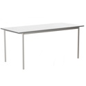 Standard Office Table
