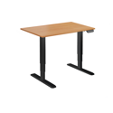 Dual Motor Electric Sit-Stand Desk