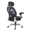 Sandro Mesh Back Executive Chair