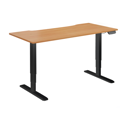 Dual Motor Electric Sit-Stand Desk