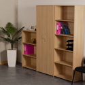 Double Door Lockable Storage Cupboards