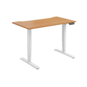 Dual Motor Electric Sit-Stand Desk