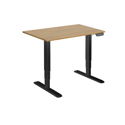 Dual Motor Electric Sit-Stand Desk