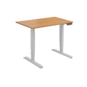 Dual Motor Electric Sit-Stand Desk