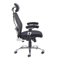 Sandro Mesh Back Executive Chair