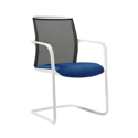Lacey Meeting Chair