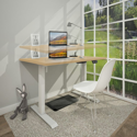 Single Motor Electric Ergonomic Sit-Stand Desk