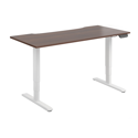 Dual Motor Electric Sit-Stand Desk