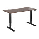 Dual Motor Electric Sit-Stand Desk