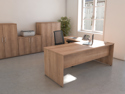 Executive Panel End Desking