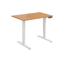 Dual Motor Electric Sit-Stand Desk
