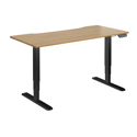Dual Motor Electric Sit-Stand Desk