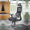 Chachi Mesh Chair