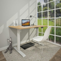 Single Motor Electric Ergonomic Sit-Stand Desk