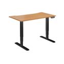 Dual Motor Electric Sit-Stand Desk