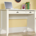 Laptop Desk