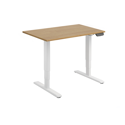 Dual Motor Electric Sit-Stand Desk