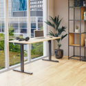 Core Sit-Stand Height Adjustable Desk (Single Motor)