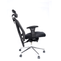 Mesh Back Executive Chair