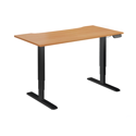 Dual Motor Electric Sit-Stand Desk