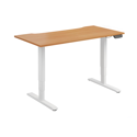 Dual Motor Electric Sit-Stand Desk