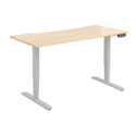 Dual Motor Electric Sit-Stand Desk