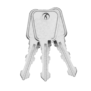 Replacement Keys 
