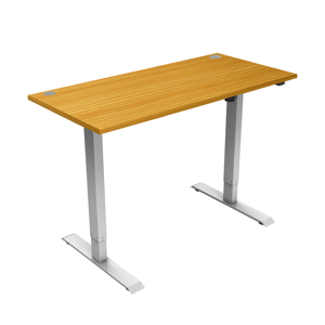 Single Motor Electric Ergonomic Sit-Stand Desk