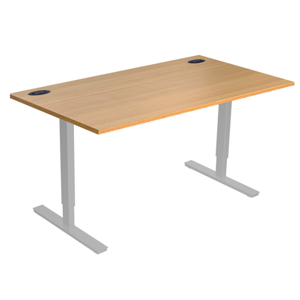 Electric Ergolift Height Adjustable Desk