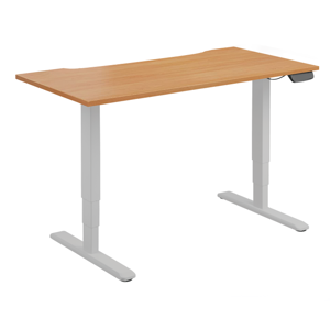Dual Motor Electric Sit-Stand Desk