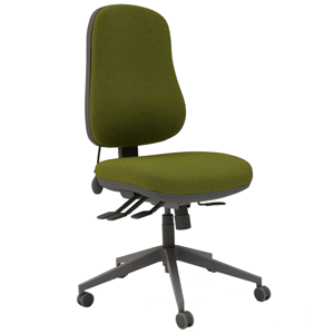 Ergo Plus Task Chair