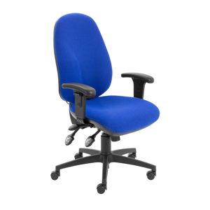 Calypso Ergonomic Office Chair
