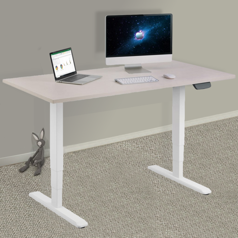 Dual Motor Electric Sit-Stand Desk