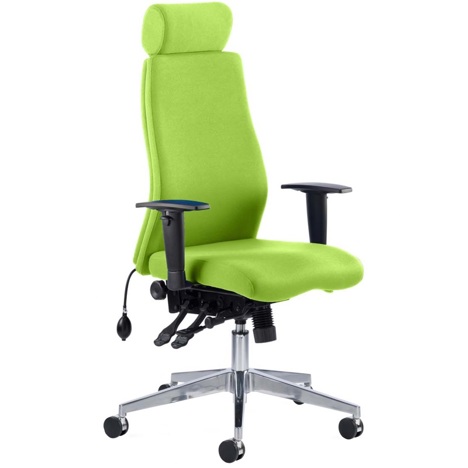 Onyx Ergonomic Operators Chair - Myrrh Green