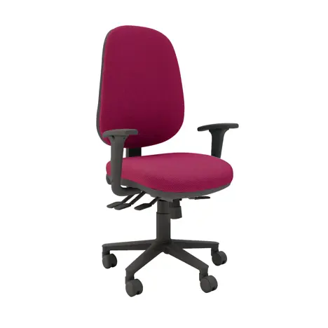 Multi-functional High Back Task Chair - Black Base - Adjustable Arms - Bingham